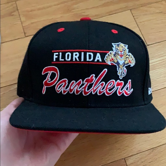 Other - Florida Panthers hat